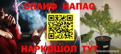 трава Кимры