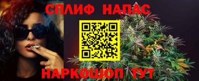 spice Кингисепп