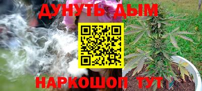 трава Кимры