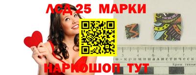 spice Кингисепп