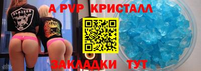 spice Кингисепп