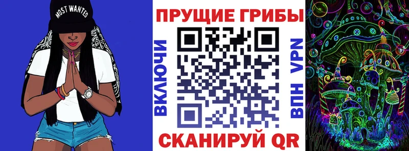 купить закладку  Саки  Псилоцибиновые грибы Psilocybine cubensis 