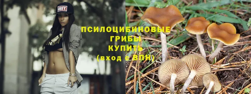 Галлюциногенные грибы MAGIC MUSHROOMS  купить   Саки 